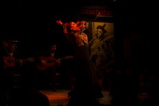 Actuación flamenca en el tablao Casa Patas