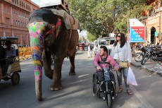 “India accesible”: auditoría al sector turístico indio