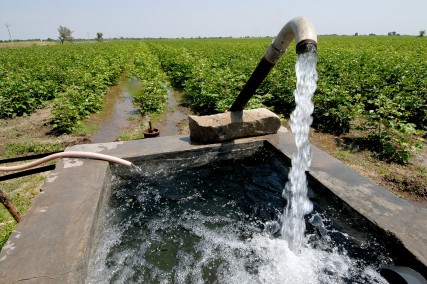 About Water: proyecto de la UPV sobre el valor  y buen uso del agua en India